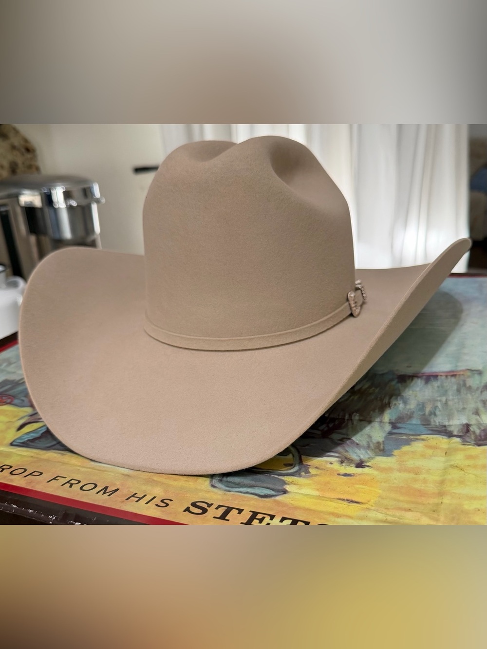 NIB Stetson Skyline 6X Silverbelly Fur Felt Cowboy Hat Western 6 3/4 - Picture 7 of 13